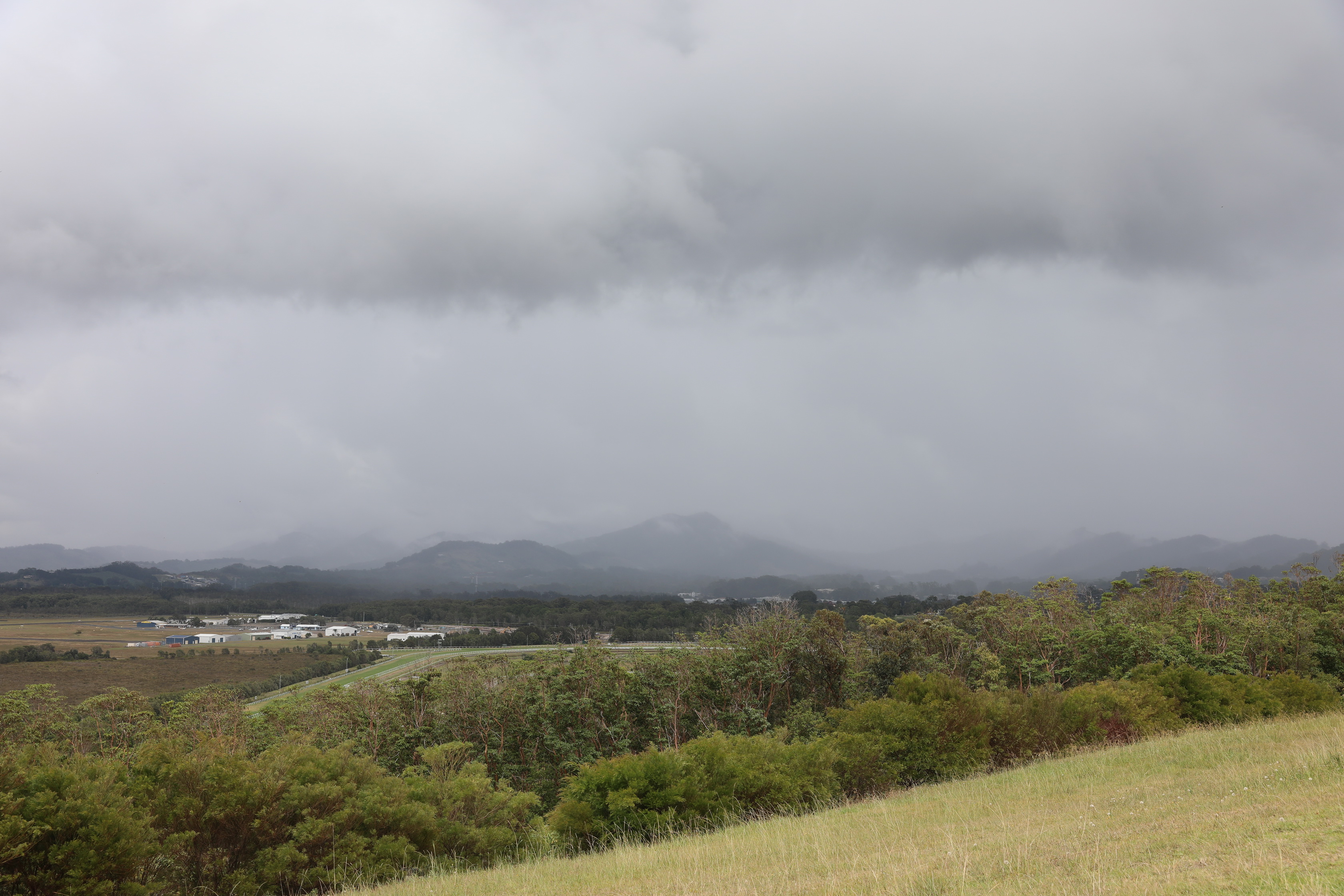 2020 01 15 11 07 21 Canon EOS 5D Mark IV 0008